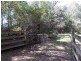 Yarrahapinni NSW 2441