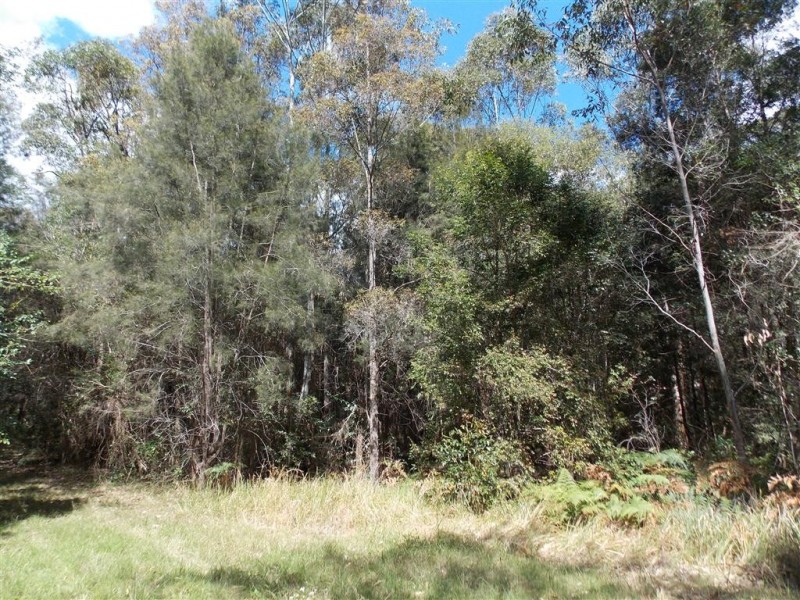 Yarrahapinni NSW 2441