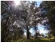 Yarrahapinni NSW 2441