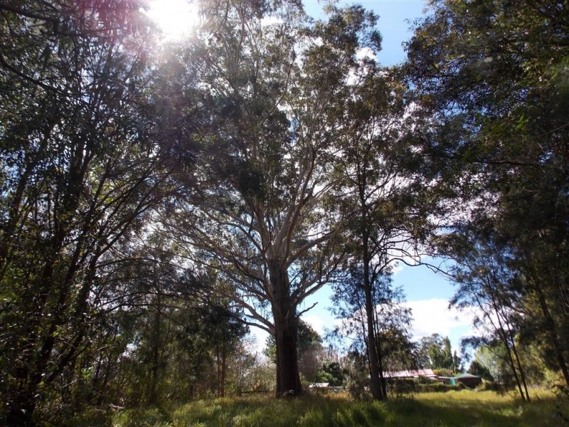 Yarrahapinni NSW 2441