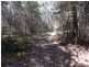 Yarrahapinni NSW 2441