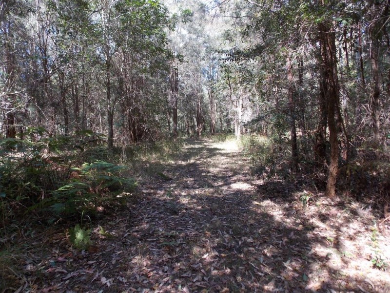 Yarrahapinni NSW 2441