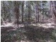 Yarrahapinni NSW 2441