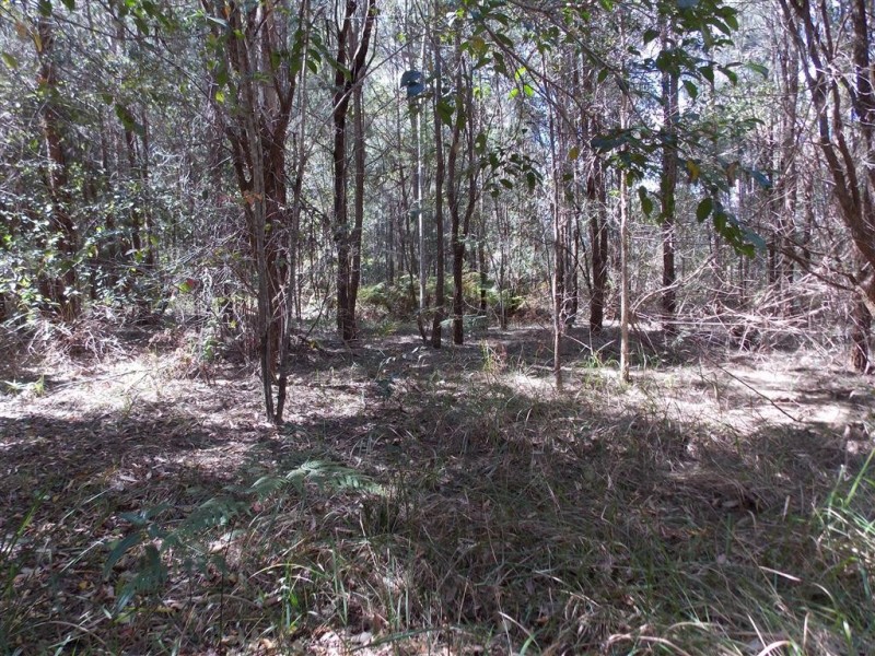 Yarrahapinni NSW 2441