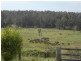Yarrahapinni NSW 2441