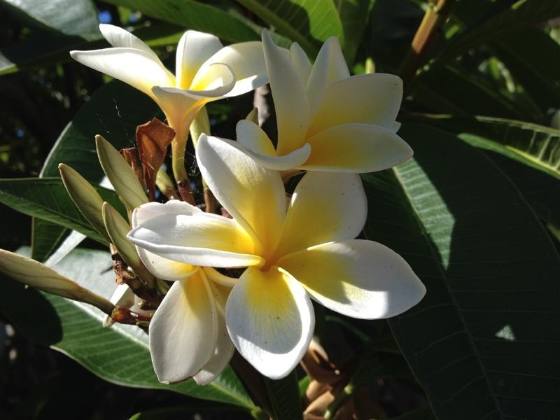 8 Fourth Ave, Stuarts Point NSW 2441