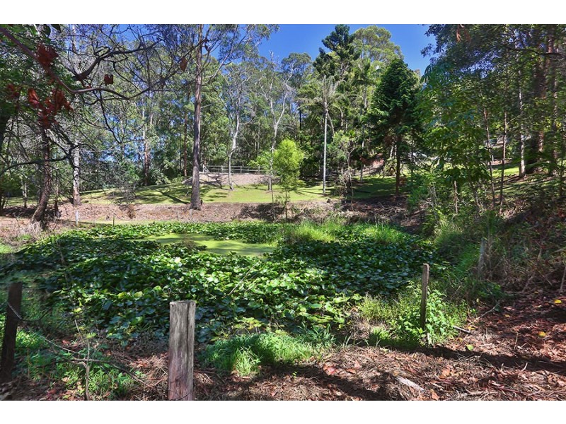 405 Grassy Head Rd, Grassy Head NSW 2441