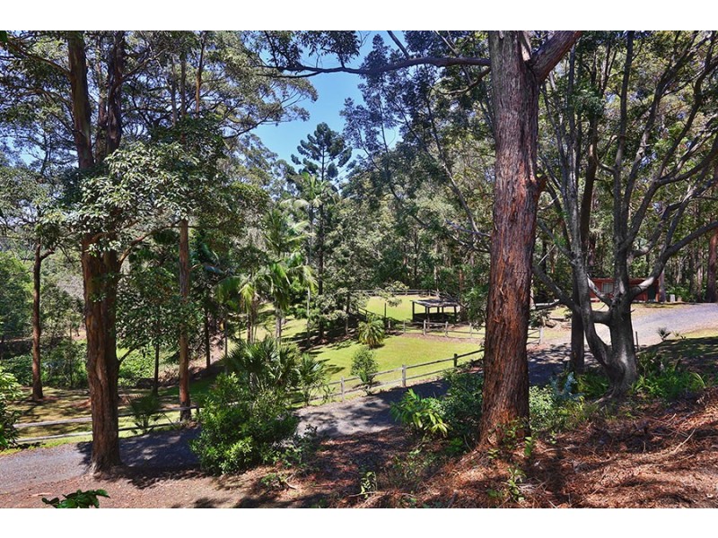405 Grassy Head Rd, Grassy Head NSW 2441