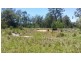 80 Lukes Lane, Barraganyatti NSW 2441
