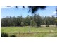 80 Lukes Lane, Barraganyatti NSW 2441
