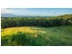 46 Hakea Rd, Way Way NSW 2447