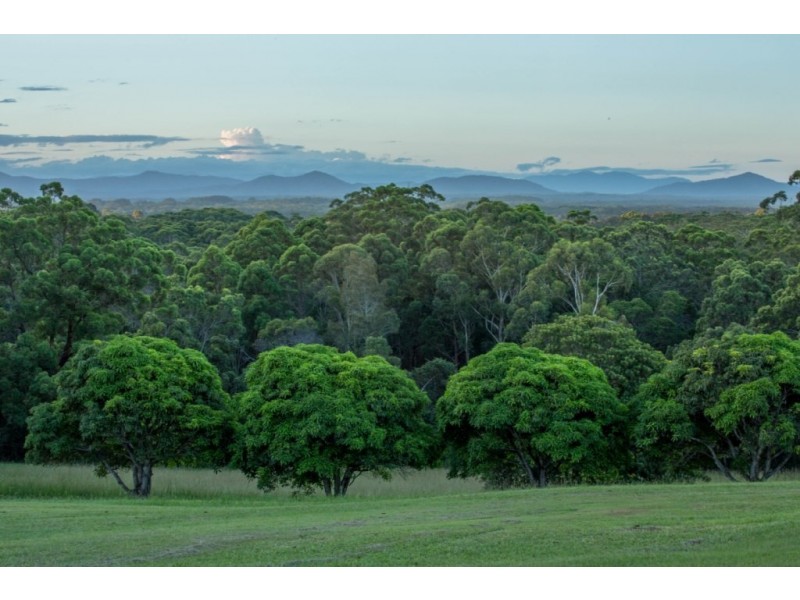 46 Hakea Rd, Way Way NSW 2447