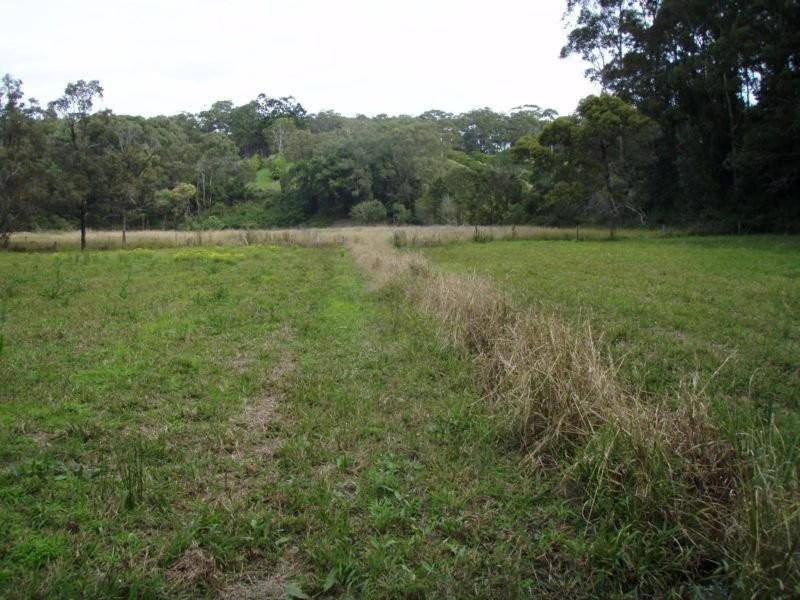 501 Grassy Head Rd, Grassy Head NSW 2441