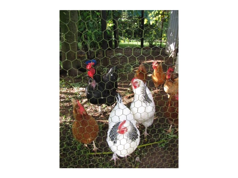 268 Bates Road, Como QLD 4571