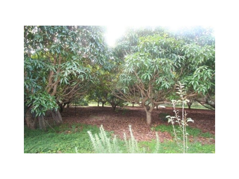 268 Bates Road, Como QLD 4571