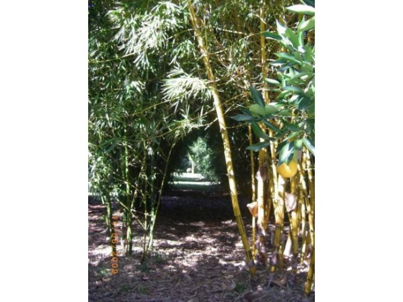 268 Bates Road, Como QLD 4571