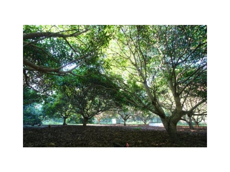 268 Bates Road, Como QLD 4571