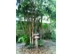 114 Reynolds Road, Currumbin Valley QLD 4223