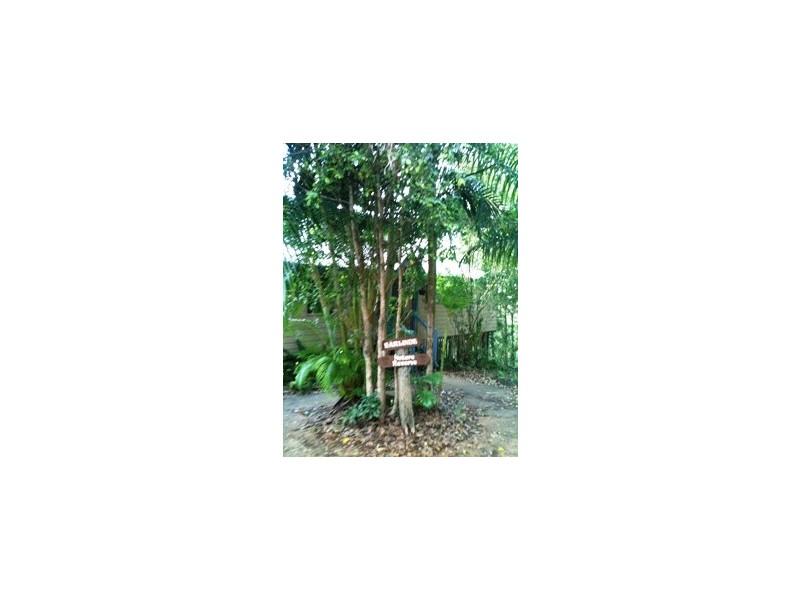 114 Reynolds Road, Currumbin Valley QLD 4223