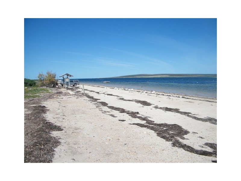 19 Baird Bay Rd, Baird Bay SA 5671