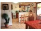 7 Armada Cr, Currumbin Waters QLD 4223