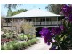 11 Wisteria Court, Tallebudgera Valley QLD 4228