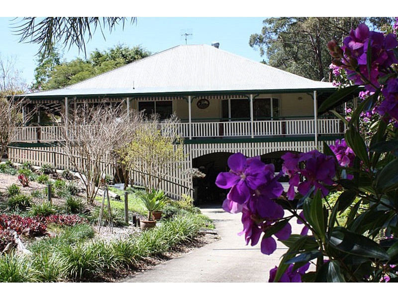 11 Wisteria Court, Tallebudgera Valley QLD 4228