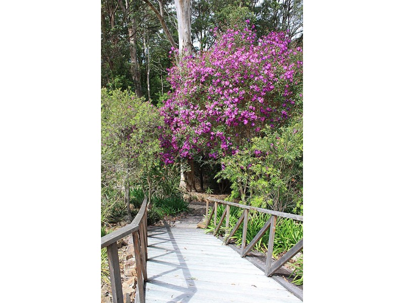 11 Wisteria Court, Tallebudgera Valley QLD 4228