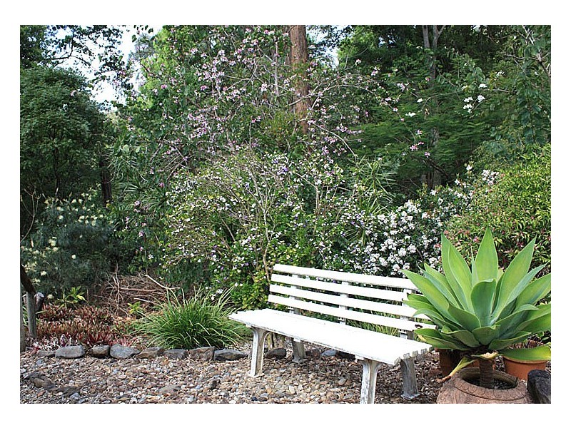 11 Wisteria Court, Tallebudgera Valley QLD 4228