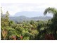18 Fatsia court, Elanora QLD 4221