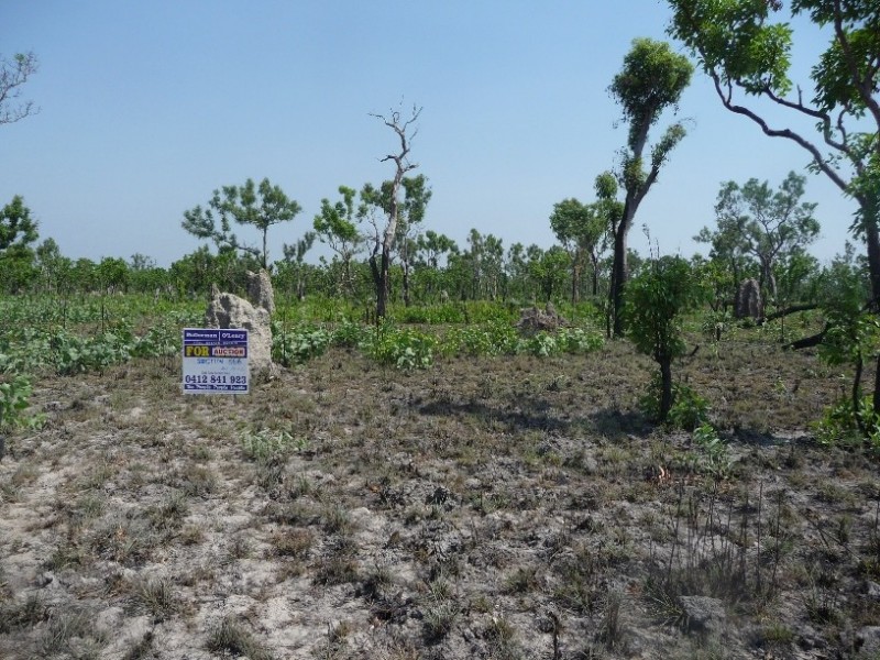 Darwin River NT 0841