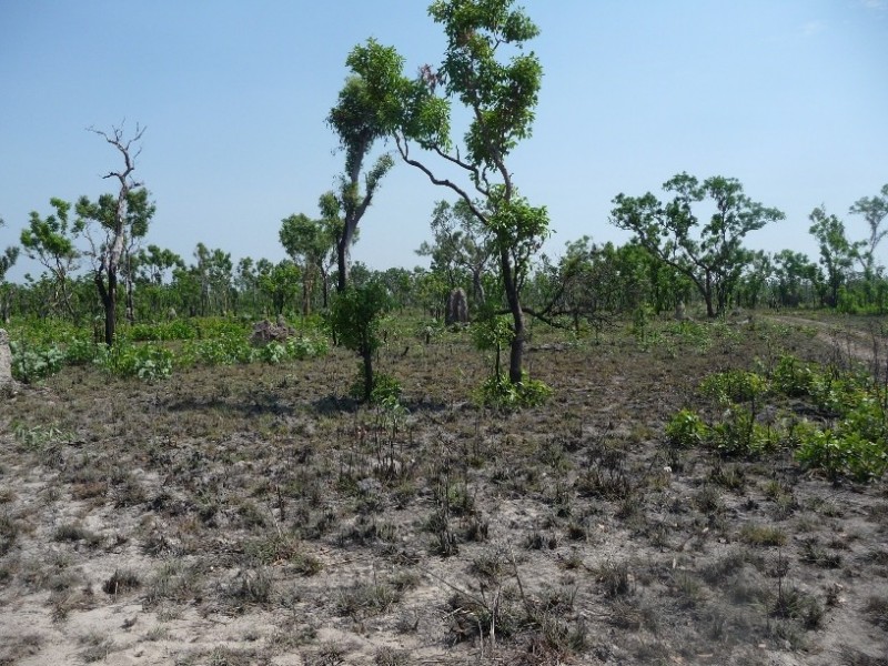 Darwin River NT 0841