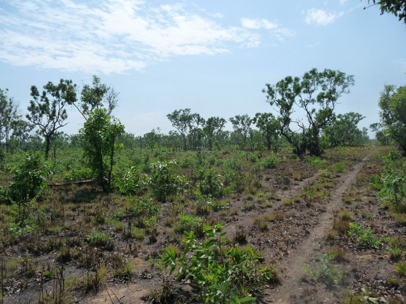 Darwin River NT 0841
