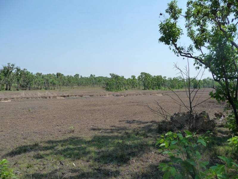 Darwin River NT 0841