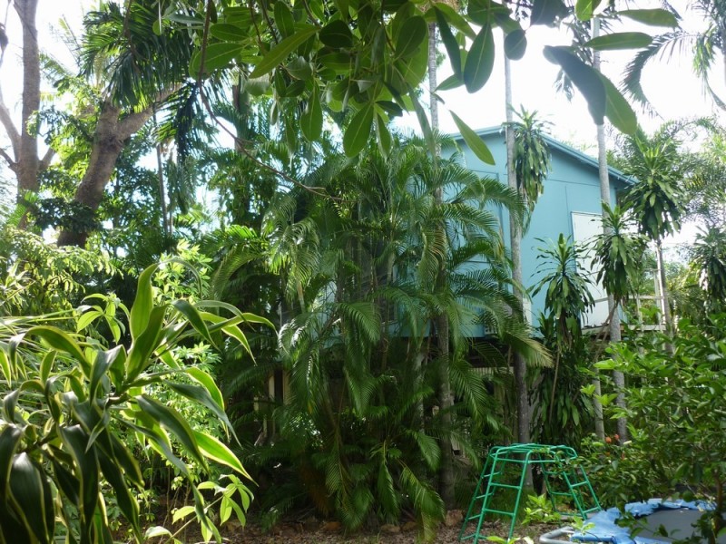 59 Trower Road, Rapid Creek NT 0810