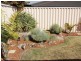 17 Jubaea Court, Canning Vale WA 6155