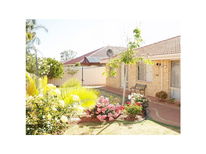 17 Jubaea Court, Canning Vale WA 6155