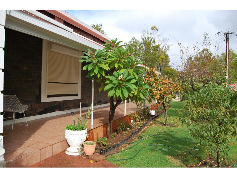 35 Stephen Terrace, St Peters SA 5069