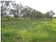 COWELL LAGOON ROAD, Moree NSW 2400