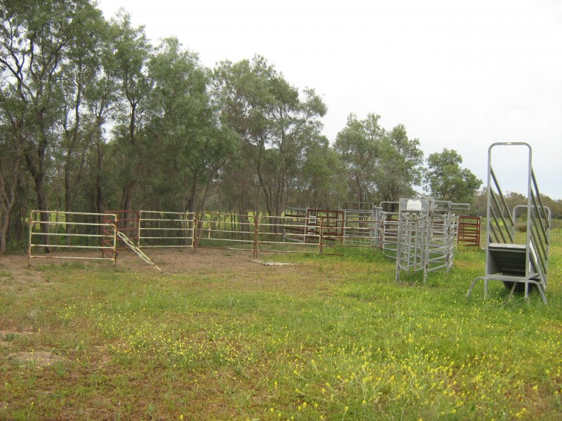 COWELL LAGOON ROAD, Moree NSW 2400