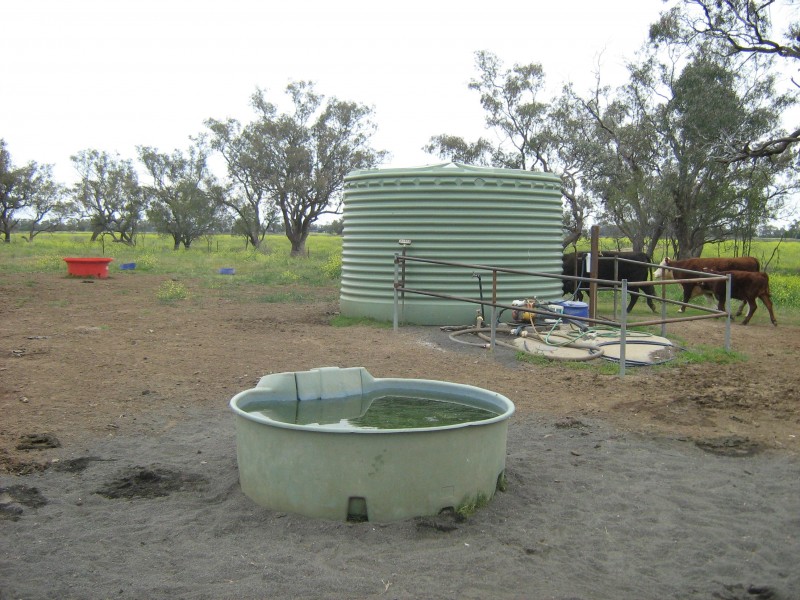COWELL LAGOON ROAD, Moree NSW 2400