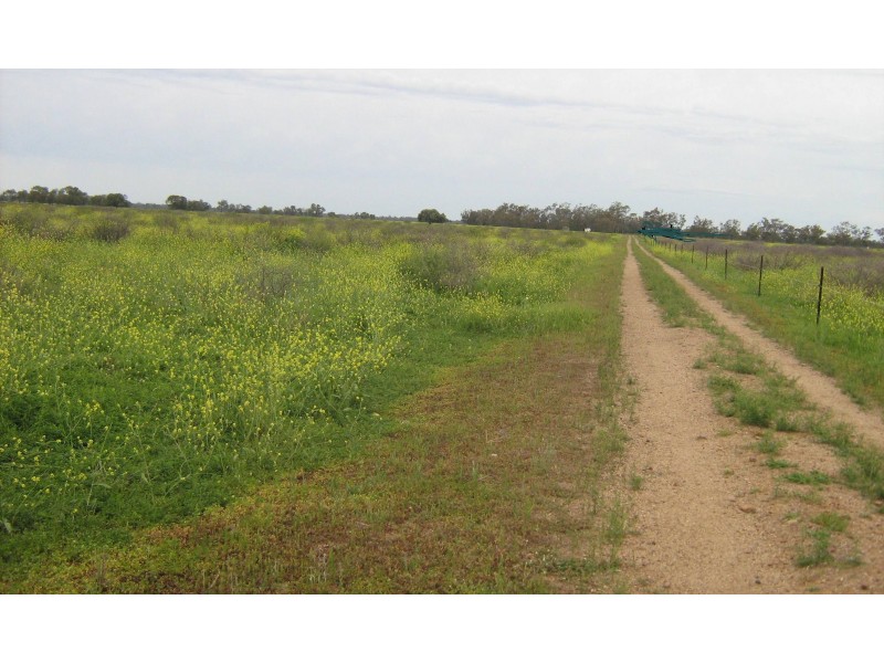 COWELL LAGOON ROAD, Moree NSW 2400