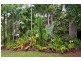 4 Cedrela Close, Kamerunga QLD 4870