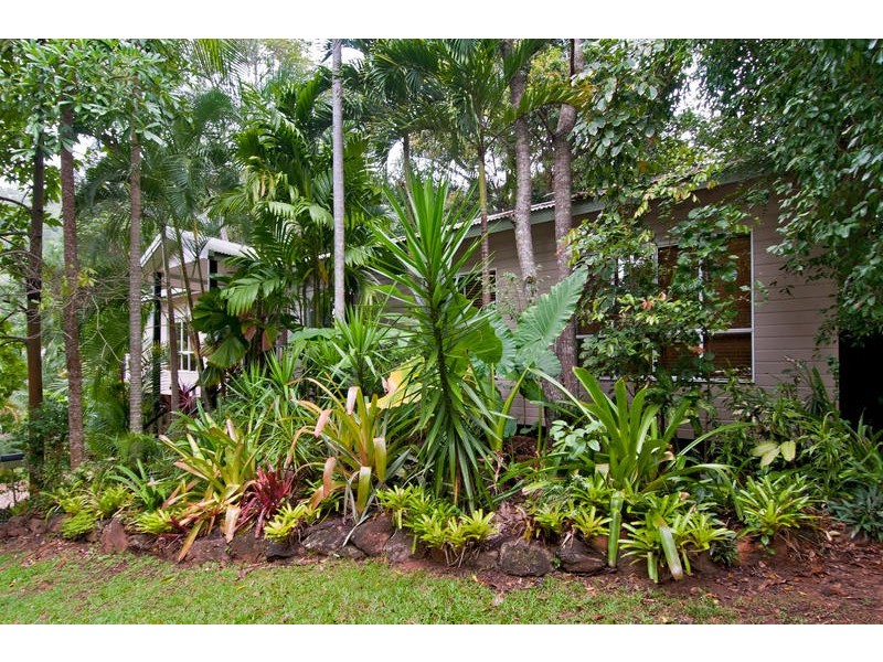 4 Cedrela Close, Kamerunga QLD 4870