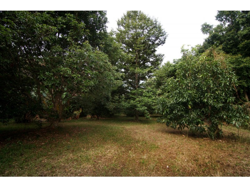 Lot 3 Shaws Road, Redlynch QLD 4870