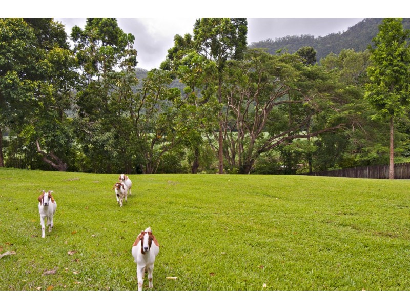 lot 21 Intake Road, Redlynch QLD 4870