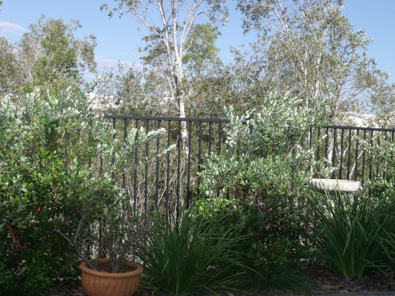 47/11 Dunes Court, Peregian Springs QLD 4573