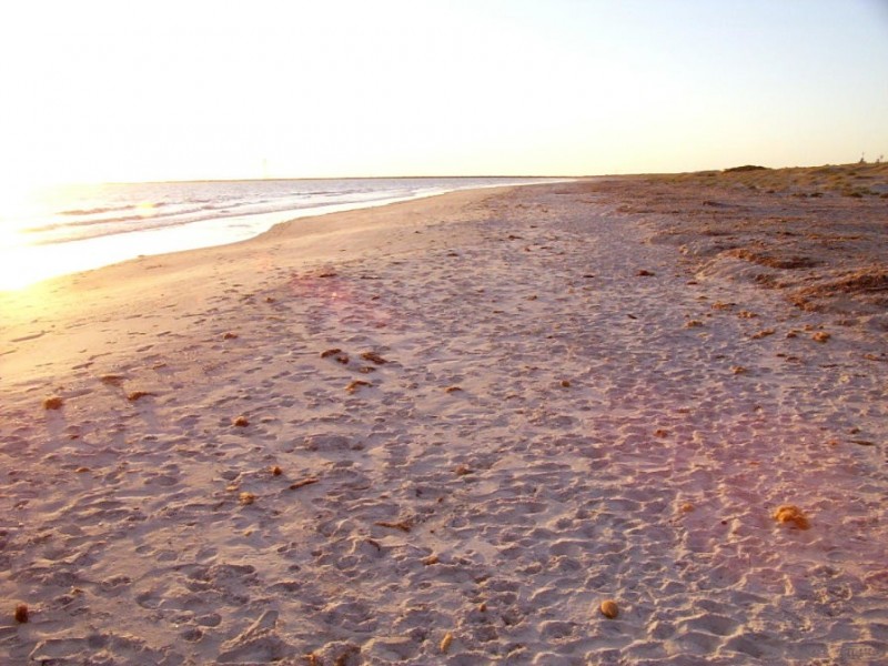 4/4 Gulf Point Drive, North Haven SA 5018