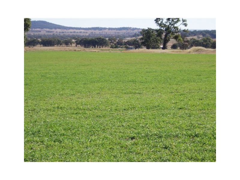 Dunedoo NSW 2844