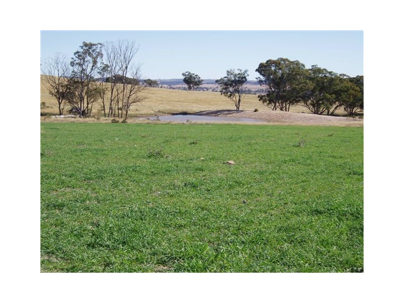 Dunedoo NSW 2844